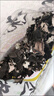廬山石耳免洗石耳廬山特產(chǎn)干貨燉湯煲煮湯石耳山珍風(fēng)味土特產(chǎn) 【2袋】廬山免洗石耳68g 曬單實(shí)拍圖