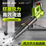 德韻鼓風機大功率充電式工業(yè)吹風機強力鋰電暴風機吹雪機除塵器 曬單實拍圖