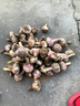食尚半島山東金鄉鮮蒜干蒜大蒜自種新鮮蔬菜紫皮紅皮批發(fā)多瓣祘頭蒜種當季 2025山東精品鮮蒜【中果】 3斤 曬單實(shí)拍圖