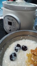 小熊（Bear）電燉鍋 電燉盅 煮粥神器煲湯鍋燉湯鍋 BB煲嬰兒煮粥鍋熬粥寶寶燉盅養(yǎng)生1-3人輔食鍋E15K2 1.5L 曬單實拍圖