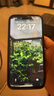 Apple iPhone 蘋果14 Pro 蘋果14Promax二手手機(jī)二手蘋果手機(jī)【三方國產(chǎn)屏幕】 【三方國產(chǎn)屏幕】蘋果14Pro Max 金色 256G【換新電池效率100%】精挑細(xì)選 95新 曬單實(shí)拍圖
