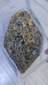 胖東來(lái)品質(zhì) 雷公根中藥材 正品天然野生積雪草新鮮曬干中藥材500g 野生 雷公根250克 曬單實(shí)拍圖