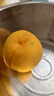 京覓黃桃水果蒙陰桃子新鮮黃金蜜桃 凈重4.5斤 單果130g起 源頭直發(fā) 曬單實拍圖