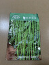 壽禾 豇豆種子種苗早熟長青豆角四季蔬菜種籽 濰豐綠長豐豆角種子110g 曬單實(shí)拍圖