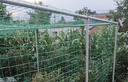 界圖鐵絲網(wǎng)養殖圍欄荷蘭網(wǎng)防護網(wǎng)養雞網(wǎng)護欄圈山地隔離硬塑鋼絲網(wǎng)柵欄 2.3毫米×30米6厘米孔 1.2米高 曬單實(shí)拍圖