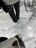 歐維沃可愛日系甜美風(fēng)宅系亞文化百搭少女厚底帆布鞋 黑白色 37 曬單實(shí)拍圖