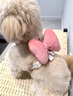 阿莫爾小狗狗牽引繩小型犬背心式比熊泰迪蝴蝶結寵物背帶防掙脫遛狗繩子 甜蜜粉（單背帶） S（建議3-6斤） 曬單實(shí)拍圖