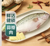 鮮活沖浪河鱸魚(yú)400-500g/條 曬單實(shí)拍圖