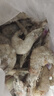 東上御品蝦 青島大蝦基圍蝦鮮活青蝦白蝦海蝦對蝦冰蝦凍蝦生鮮 蝦類 海鮮 3斤(凈重)  氣凍大蝦【活蝦速凍】 15-18cm【單只超大蝦】 曬單實(shí)拍圖