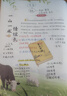 2025新思路輔導(dǎo)與訓(xùn)練六年級七年級八年級上下冊數(shù)學(xué)物理化學(xué)上海初中六七八九年級可選教輔配滬教版教材上?？茖W(xué)技術(shù)出版社 八年級上【數(shù)學(xué)】配新教材 曬單實拍圖