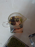 匠界扁鵲三豆飲烏梅黑豆黃豆綠豆三豆湯綠豆湯烏梅湯夏日清涼飲360g 曬單實(shí)拍圖