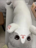 筏芯睡覺(jué)抱枕夏季冰涼冰絲涼貓咪玩偶抱夾腿公仔娃娃長(zhǎng)條毛絨玩具生日 冰絲灰色貓咪抱枕【有拉鏈可拆洗】 枕套 【升級(jí)冰絲款】1.3米 曬單實(shí)拍圖