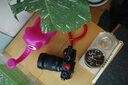 富士（FUJIFILM）XT5 X-T5  XM5入門微單相機數(shù)碼復古XT4升級6K防抖Vlog全新送禮 X-T5黑色+XF16-55F2.8二代鏡頭 全新官配包含（機身+肩帶+原電） 曬單實拍圖
