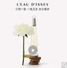 三宅一生（ISSEY MIYAKE）一生之水女士淡香水100ml 水生花香調(diào) 女生生日禮物女自營送人 曬單實拍圖