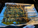 靈澈新鮮黃牛牛腩肉牛宮后夾肉網紅羅肌肉護心肉蝴蝶腩厚裙肉牛二號筋 5斤 精品宮后夾肉 曬單實拍圖