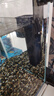 AMTRA TECHNIK德國(guó)安彩 魚缸去除油膜處理器增氧過(guò)濾除油污 除油膜過(guò)濾器 曬單實(shí)拍圖