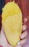 憶京源海南金煌芒水仙芒果 現(xiàn)摘特大果三亞直發(fā)甜心芒 新鮮當(dāng)季孕婦水果 10斤精選大果【凈重9斤】 曬單實拍圖