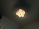 CASAGD法式中古臥室吸頂?shù)跎葻粜轮惺綇?fù)古花朵餐廳吊燈風(fēng)扇一體燈2025款 【吸頂款】28寸-胡桃色 小愛(ài)同學(xué) 曬單實(shí)拍圖