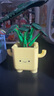 樂高（LEGO）積木拼裝玩具 花植系列10349快樂盆栽9歲+ 生日禮物送女友 曬單實拍圖