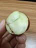 南步河北黃驊脆冬棗【順豐】孔店特產(chǎn)冰糖青棗脆甜大棗子冬棗新鮮水果 5斤 精選大果【約30顆/斤】 曬單實(shí)拍圖