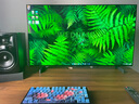 LG42英寸OLED游戲電視機 智能4K高清全面屏電競旗艦120Hz高刷0.1ms低延遲 HDMI2.1  42C5 42英寸 OLED42C5PCA 曬單實(shí)拍圖