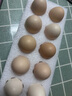 喜環(huán)精選45g-50g/枚無(wú)抗雞蛋土雞蛋稻谷殼填充防護溏心蛋早餐生鮮 10枚 精品51g-55g/枚 約550g 曬單實(shí)拍圖