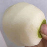 安徽正宗碭山酥梨梨子酥脆當(dāng)季新鮮水果香梨脆雪梨特產(chǎn)整箱包郵 凈重4.5斤【翠玉梨-實(shí)惠】 曬單實(shí)拍圖