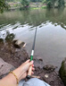 熊火溪流小物釣魚竿超短節(jié)微物手桿便攜全套野釣白條鳑鲏袖珍迷你魚竿 2.1m37調(diào)仙蹤綠【小物竿】套裝 曬單實(shí)拍圖