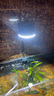 晶普達原生溪流缸魚缸筒燈led全光譜水草爆藻金魚出苔燈定時調(diào)光 【90度透鏡款】黃白光15W含支架 曬單實拍圖
