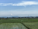 蔡林記經(jīng)典原味武漢熱干面湖北特產(chǎn)干拌面速食方便面條早餐5連包650g 曬單實拍圖