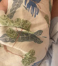babylove嬰兒背心包屁衣夏季薄款竹棉山茶紗布三角哈衣爬服夏裝衣服 曬單實拍圖