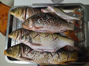 云飛魚無結(jié)競技線組套裝釣魚線主線成品綁好黑坑大物主線組配件全套漁具 5.4米八字環(huán)款4卷【拉力提升】 2.0號 曬單實(shí)拍圖