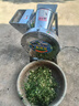 養(yǎng)殖家用鍘草機(jī)揉絲切丁切草一體家用養(yǎng)殖牛羊打草機(jī)干濕兩用玉米 不銹鋼切草切丁機(jī)（銅芯電機(jī)） 曬單實(shí)拍圖