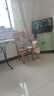 巴厘小豬寶寶背心夏季男童無袖薄款T恤女童小吊帶嬰幼兒夏天衣服兒童上衣 肉桂粉 100 曬單實拍圖