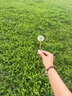 阿芙（AFU）木乃伊精華水精華油面霜眼霜護(hù)膚套裝油肽緊致抗皺送禮物 水120ml+面霜50g+眼霜15g 曬單實(shí)拍圖