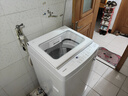 東芝（TOSHIBA）波輪洗衣機全自動 DB-10T06D 直驅(qū)變頻 10公斤大容量白色 不彎腰 除菌螨 以舊換新家電國家補貼20% 曬單實拍圖