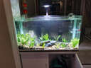 魚呼吸魚缸凈化系統(tǒng)過濾器 水族箱小型草缸外置循環(huán)桶 小號【升級套餐】推薦魚缸：40-80cm 曬單實拍圖