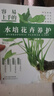 容易上手的水培花卉養護+家庭觀(guān)賞植物種植綠色種植多彩享受美麗看得見(jiàn)知識學(xué)到手鑒賞養護兩不誤新手入門(mén)零基礎自學(xué)教程大全圖解步驟詳解實(shí)用技巧暢銷(xiāo)書(shū)籍推薦 容易上手的水培花卉養護 無(wú)規格 曬單實(shí)拍圖