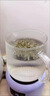 胖東來品質(zhì)松針茶特級長白山野I生新鮮馬尾松針茶干凈無雜泡茶 255克【1個月量】 曬單實拍圖