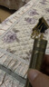 颯望【德國】理發(fā)器電推剪發(fā)廊專用家用光頭理發(fā)神器自己剪電動剃頭刀發(fā)廊雕刻全身水洗剃頭電推子 理發(fā)剃須-全家通用 鈦金刀頭+強勁動力不卡發(fā) 曬單實拍圖
