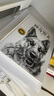 沈石溪動(dòng)物小說(shuō) 經(jīng)典愛(ài)藏版·神奇警犬 曬單實(shí)拍圖