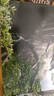 柯達（Kodak) 照片書 照片冊 旅行相冊  照片影集 旅行留念 沖印版照片書 方8英寸 保存更長久(上傳17張照片) 曬單實拍圖