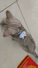 華元寵具（hoopet）貓咪牽引繩溜貓遛貓繩子防掙脫逃背心寵物背帶鏈子可調(diào)節(jié)外出用品 曬單實(shí)拍圖