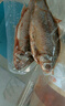 微山湖野生鯽魚土漁民捕撈活魚現(xiàn)殺凈膛滋補(bǔ)燉湯400g/袋 大號(hào)【2-3條/400g】400g*2袋 曬單實(shí)拍圖