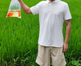 NASAWASSUP日系cityboy純色工裝短褲男士夏季外穿薄款寬松休閑男生五分褲子 杏色H8996-LPH 2XL 【建議140斤-155斤】 曬單實拍圖