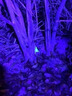 天火（SkyFire）辰龍穿天炮手電筒知了猴激光強(qiáng)光戶外家用充電超亮遠(yuǎn)射超長(zhǎng)續(xù)航 辰龍/1800LM/送聚焦透鏡/標(biāo)配 曬單實(shí)拍圖