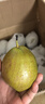 京鮮生 河北酥潤香梨 凈重9斤 單果120g+ 生鮮水果 源頭直發(fā) 曬單實(shí)拍圖