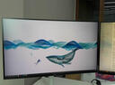 戴爾（DELL）UltraSharp 23.8英寸 辦公顯示器 FHD IPS 120Hz 高刷 Type-C15W手機充電 旋轉升降 U2424H 曬單實拍圖