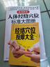 【新華正版】人體經(jīng)絡穴位標準大圖冊 超清晰 人體經(jīng)絡穴位圖解書人體穴位圖解大全 中醫(yī)按摩經(jīng)絡穴位書籍 經(jīng)絡穴位按摩大全養(yǎng)生書正版 【2冊】人體經(jīng)絡穴位標準大圖冊+經(jīng)絡穴位按摩大全 曬單實拍圖
