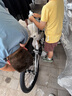 鳳凰（Phoenix）兒童山地自行車6-15歲青少年學(xué)生航空鋁合金單速禧瑪諾變速20寸 曬單實(shí)拍圖